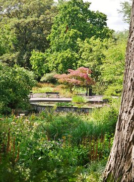 Planten un Blomen im Sommer