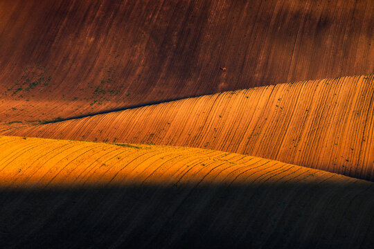 View of rolling agricultural fields with textured soil and golden hour light in Brno, South Moravian Region, Czechia.
