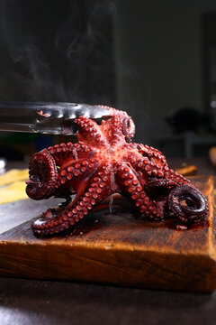 Boiled whole octopus on a wooden cutting board. Octopus is held with tongs. Cooking seafood dishes. Dark background. Protein food