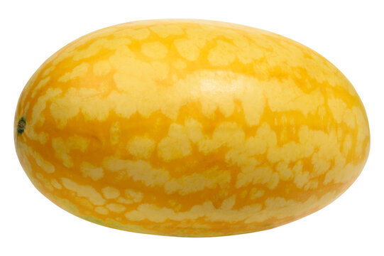 Whole ripe yellow watermelon with striped rind, isolated background.