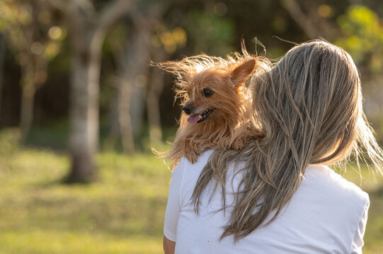 Blonde woman seen from behind, holding a small dog over her shoulder in a park, backlit by the sun on a summer day.