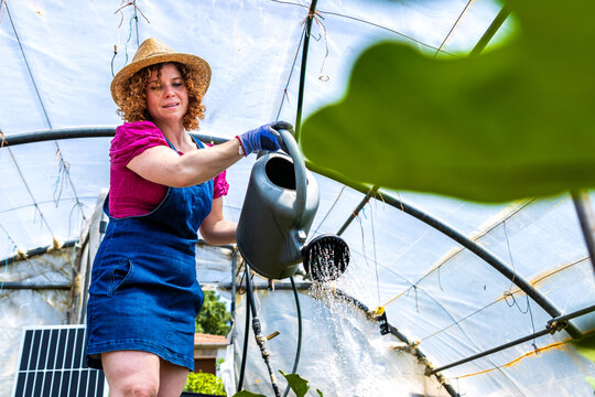 Woman watering plants in a greenhouse, practicing sustainable organic farming