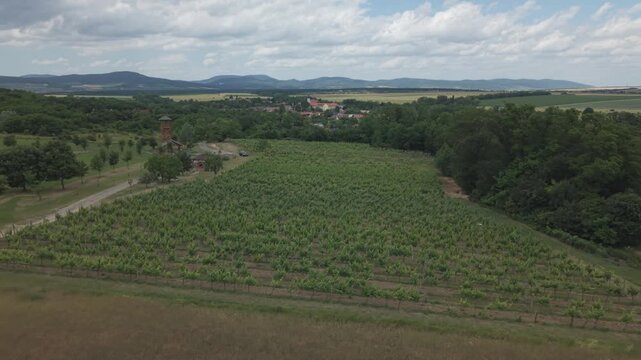 Aerial Panorama of Vistuk Vineyards and Little Carpathians