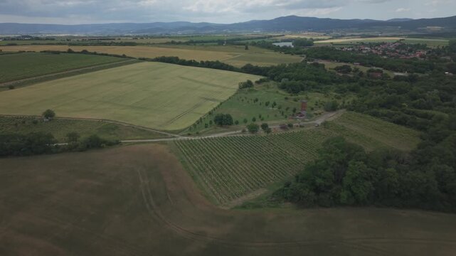 Aerial Panorama of Vistuk Vineyards, Village and Little Carpathians