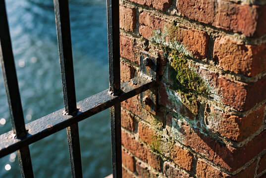 Black metal fence attached to old red brick wall with moss