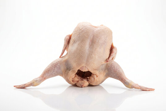 Whole raw chicken positioned upright on a clean reflective white studio surface
