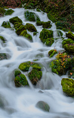 waterfall in the forest © Tomer