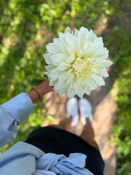 Person holds a large white flower while walking on a green path in a sunny outdoor area