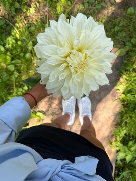 Person holding a large white flower while walking in nature on a sunny day