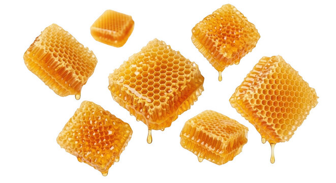 Fresh golden honeycombs isolated isolated on transparent background