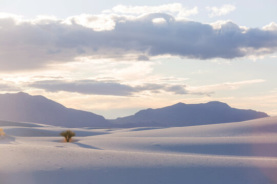 White sand dunes