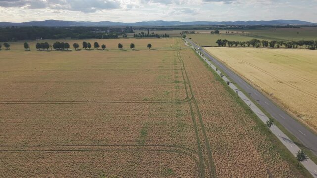 Aerial View of Tree-Lined Rural Road Through Farmland Near Pac, Slovakia