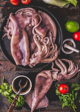 Fresh raw seafood squid or calamary and ingredients on dark background.