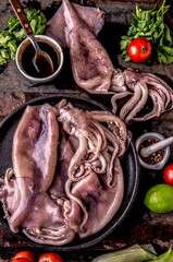 Fresh raw seafood squid or calamary and ingredients on dark background. © lblinova