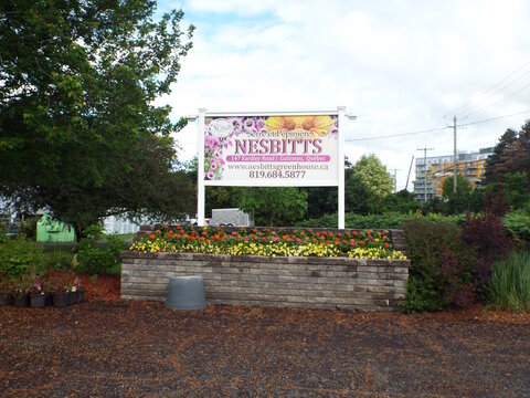 Gatineau, Quebec, Canada &ndash; June 13, 2026: A large bilingual sign for "Serre et P&eacute;pini&egrave;re Nesbitts" stands above a decorative flowerbed at 147 Eardley Road.