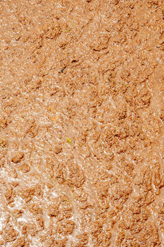 Wet muddy ground texture with brown earth background