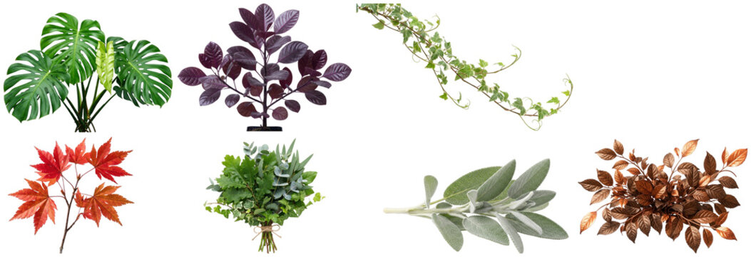 A diverse collection of decorative foliage sprigs and leaves featuring tropical, evergreen, herb, and autumn varieties.