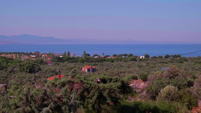 Panoramic View of Sivrice Village with Olive Trees and Lesbos Island