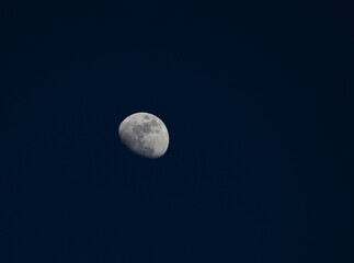 The moon against a dark blue sky viewed from the Amazon Rainforest region of Brazil. © GezerFreitas