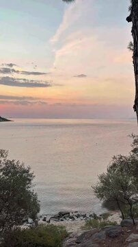 View from Kavala coast towards Thasos island over calm Aegean sea framed by pine trees during soft pink dawn sunrise, Greece