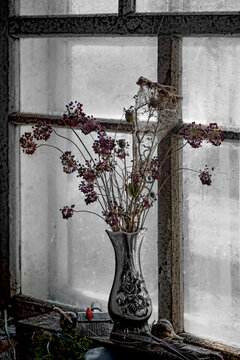 Creative workshop. A bouquet of flowers in a vase. Rural setting. Window light illuminates a still life. An improvised scene with flowers in a barn. A cobweb covers the vase of flowers. A red poppy sy