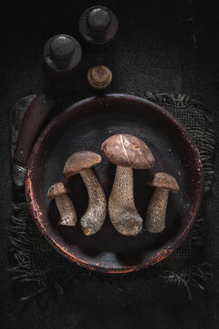 Unique and noble mushrooms collected from deciduous forest.