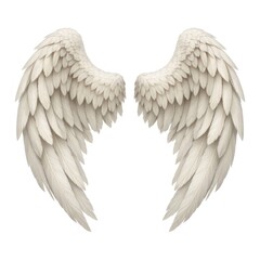 Obraz premium Illustration of a pair of detailed, white angel wings on a white background.