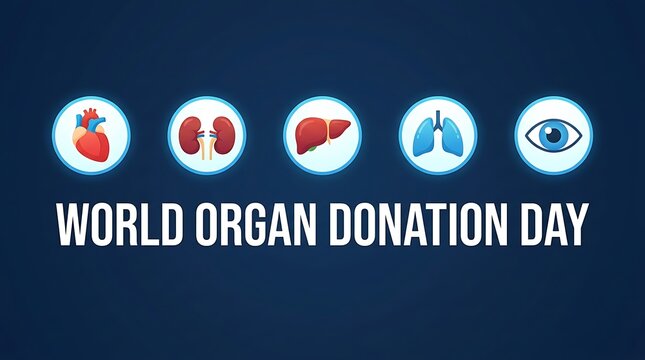World Organ Donation Day Banner with Human Organs.