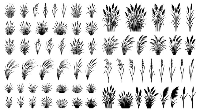 Collection of various wild grass and field plant silhouettes for rustic nature design projects and botanical art illustrations in a detailed black and white vector style