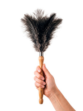 Hand holding a fluffy ostrich feather duster with a wooden handle for cleaning and dusting surfaces PNG Isolated on transparent background