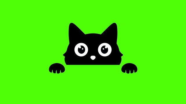 Cartoon Blinking Eyes in Black Box Loop Animation on Green Screen