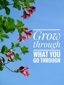 Inspirational and motivational quotes concept with nature background. Grow through what you go through 