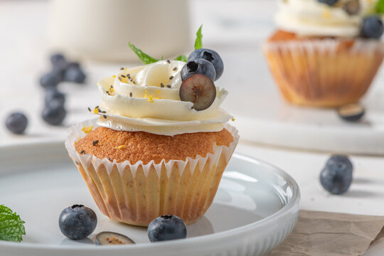 Cupcake with cream frosting blueberry and mint leaves on a white plate