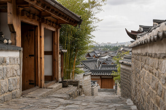 Bamboo in a overcast spring Korean hanok alley