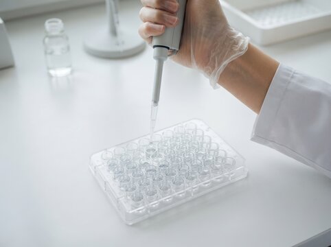 Female scientist using a micro pipette and 96 well plate in a medical research laboratory