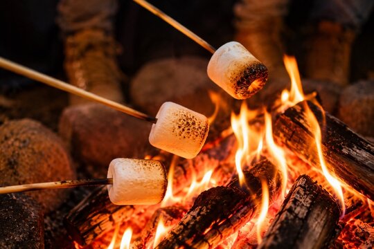 Toasting Marshmallows Over a Campfire at Night