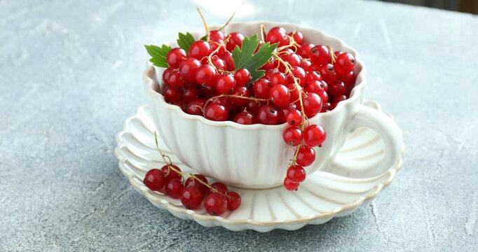 Fresh ripe red currants in cup and green leaves on grey table, closeup. Camera spinning