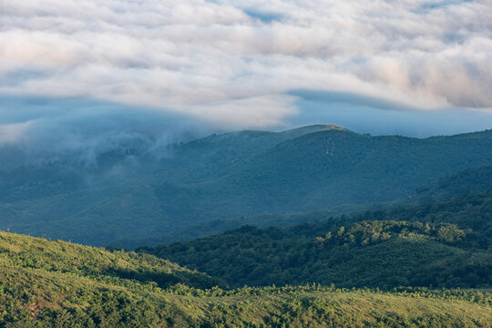 A scenic layered mountain landscape with dense forests, shrouded in soft mist under an overcast sky with rolling clouds.