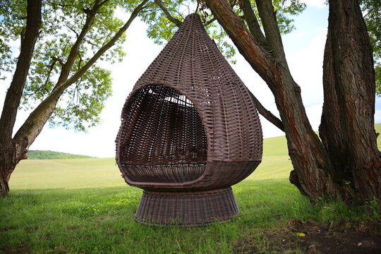 Cocoon chair against a backdrop of nature