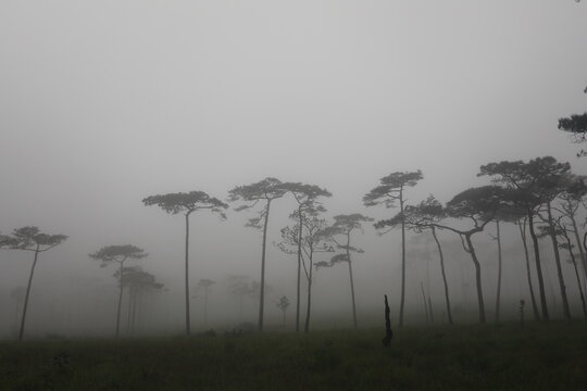 Phu soi dao National Park