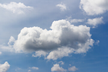 Fototapeta premium A single fluffy white cloud drifts lazily across the vibrant blue summer sky, showcasing soft textures and bright daylight illumination in a peaceful outdoor atmospheric scene