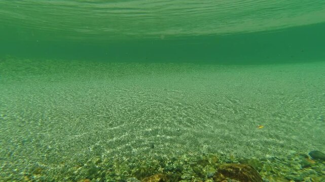 水中カメラで撮影した夏の観光名所上高地の梓川の水中景色