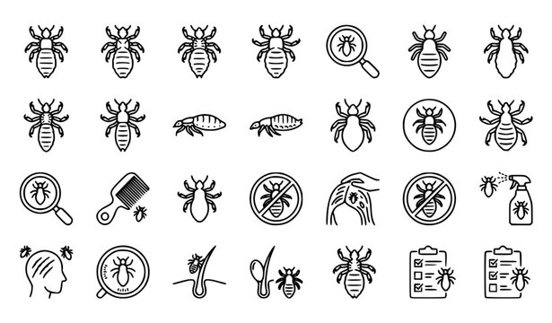 Minimal Black and White Louse Parasite Line Icon Pack Insect Vector Set