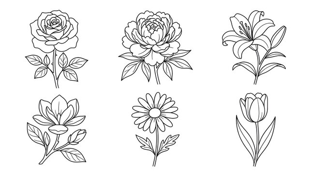 Flower line art vector set isolated on white background, black linear botanical drawing of rose, peony, lily, magnolia, daisy, tulip for coloring page, tattoo, wedding invitation, and logo design.