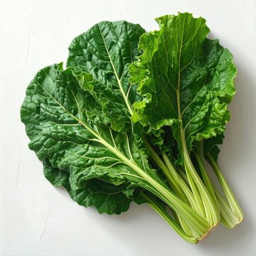 Fresh green leafy vegetables, stalks, and veins on white surface