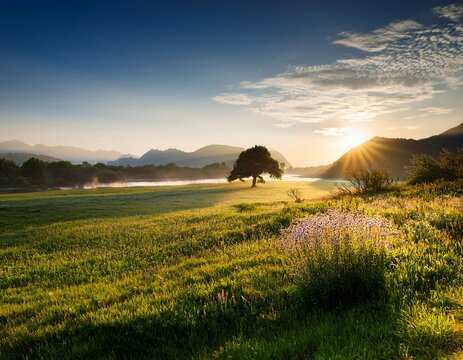 serene morning solitude
