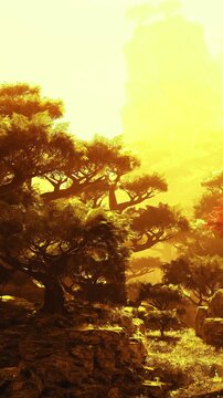In a magical forest, golden sunlight caresses ancient trees, casting enchanting shadows. The landscape glows warmly as nature comes alive during a breathtaking sunset.