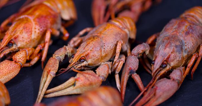 Red boiled crayfish on a black background surface, a pile of freshly boiled crayfish with claws on the table during a festive dinner