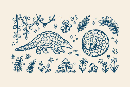 Cute pangolin illustration set with forest plants and flowers in a vintage hand drawn style Vector, illustration