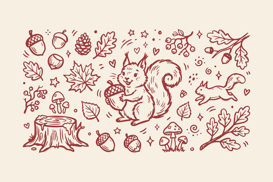 Cute squirrel holding an acorn with autumn leaves and forest elements hand drawn doodle set Vector, illustration